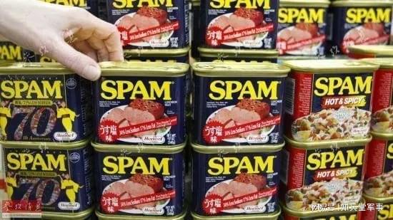 恶痛绝的午餐肉和巧克力战后照样是大品牌凯发K8旗舰店APP二战中让美国大兵深(图1)