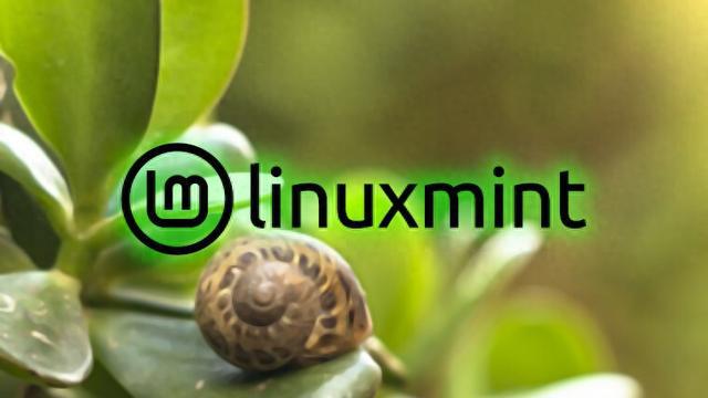 1 的稳定版镜像正在进行最后的检查凯发K8Linux Mint 22